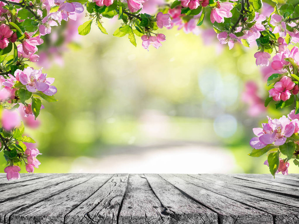 ein Frühlingsblumen Hintergrund, rosa Blüten auf Holztisch - Foto, Bild
