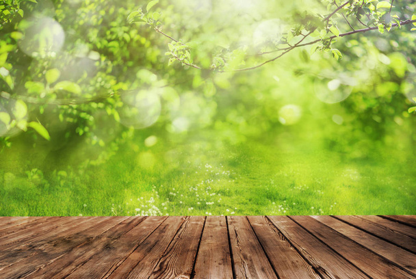Wooden table and spring forest background - Photo, Image