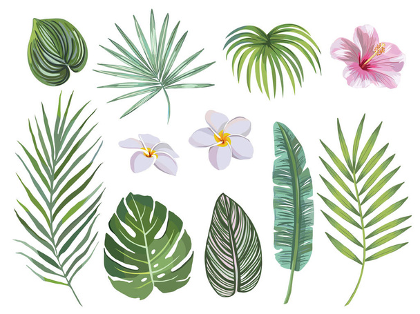 hand drawn Set of tropical leaves and flowers. vector design concept - Vector, afbeelding