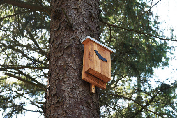 caja de murciélago en árbol
 - Foto, imagen
