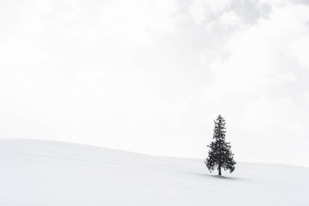 空と雲と雪の冬の天気シーズンで単独で人工クリスマス ツリーと美しい屋外の自然風景 - 写真・画像