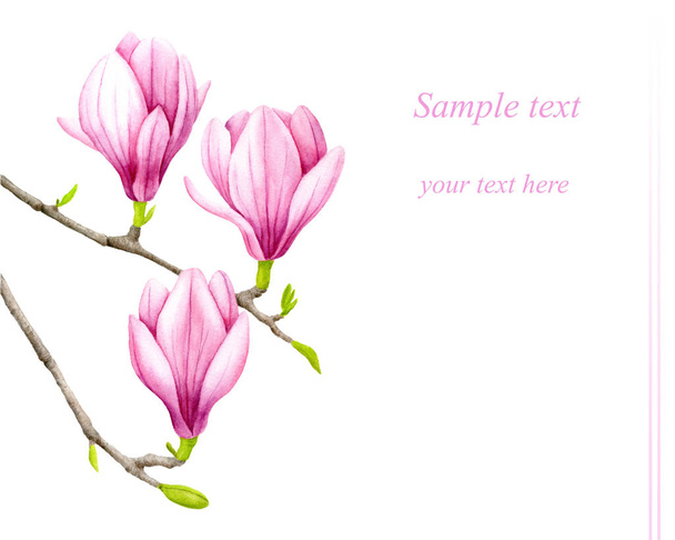 Watercolor pink magnolia flower - Zdjęcie, obraz