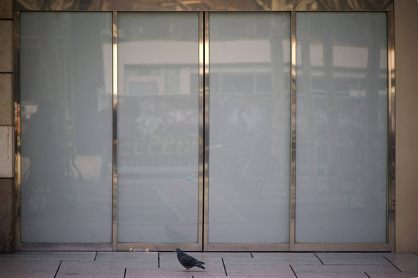 Puerta corredera moderna de cristal / Una puerta corredera moderna de cristal de un centro comercial con marco de metal brillante
 - Foto, Imagen