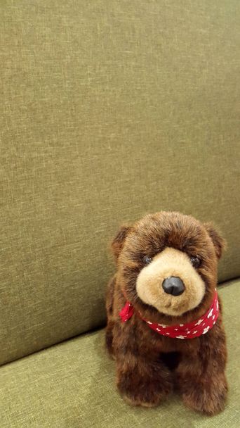 Bear. Toy bear. Little bear. Brown teddy bear toy - Photo, Image
