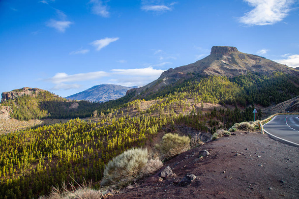 Θέα στο τοπίο στο εθνικό πάρκο Teide της Τενερίφη - Φωτογραφία, εικόνα
