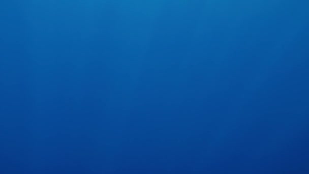 Güneş parlayan thriugh deniz yüzeyi 4k video. Güzel soyut arka plan - Video, Çekim