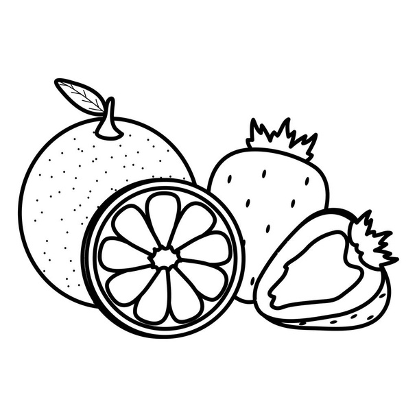 friss narancs citrusfélék és szamóca gyümölcsök - Vektor, kép
