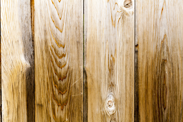 Interior Design - Wooden Wall - Foto, Bild