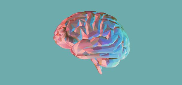 Cerebro poligonal colorido aislado en BG verde
 - Vector, imagen