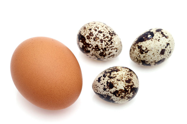 коричневое куриное яйцо и мелкое перепелиное яйцо на белом фоне
 - Фото, изображение
