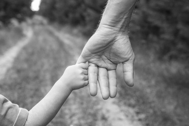 mãos elegantes de um pai e uma criança na natureza em um parque atrás
 - Foto, Imagem