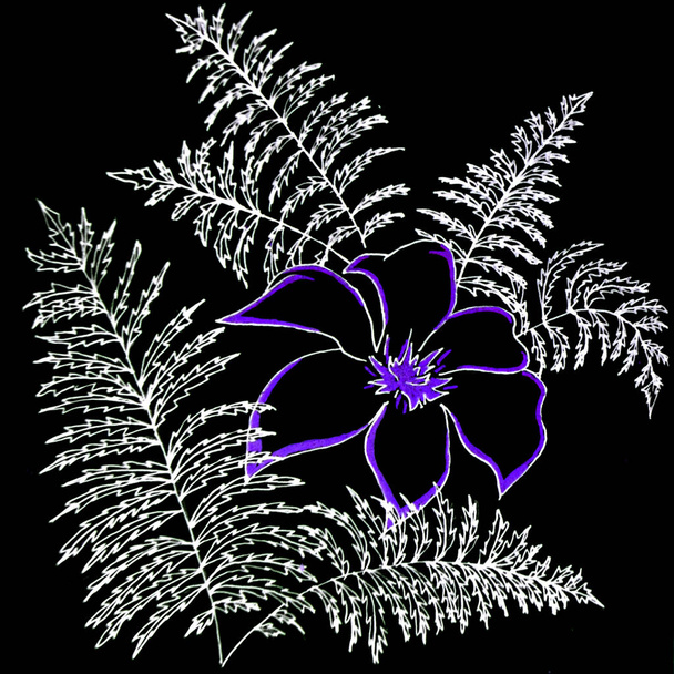 Purple flower, fern. Summer illustration. Design cards, invitations. - Φωτογραφία, εικόνα