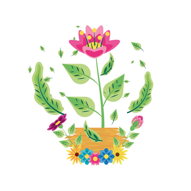 flowers nature in label of wooden decoration - Vector, Image