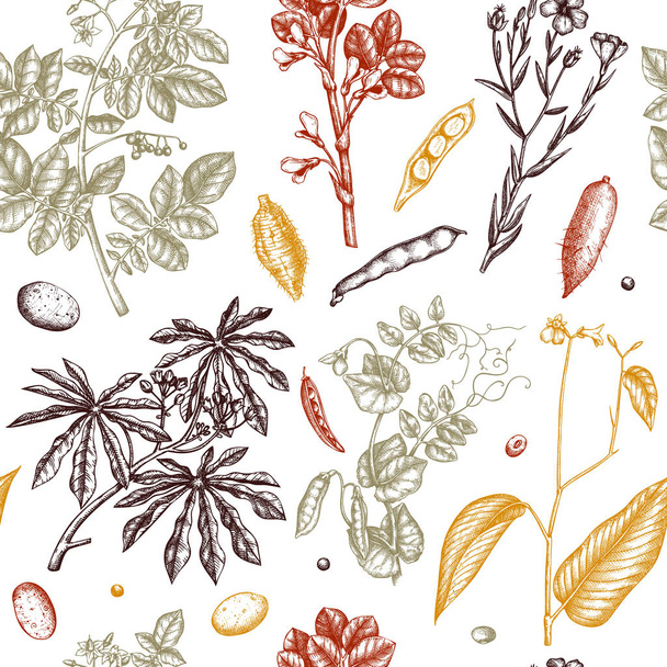 vector illustration of gluten-free food background - Vetor, Imagem