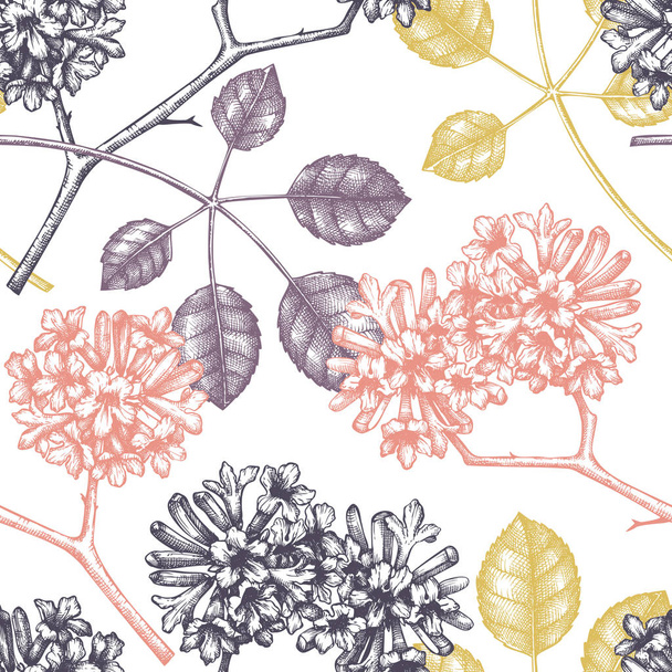 vector illustration of hand drawn floral background - Vettoriali, immagini