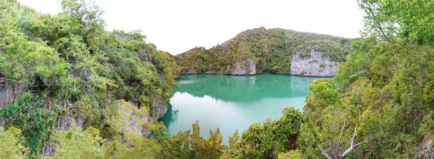 Panoramablick auf die grüne Lagune auf tropischen Inseln am ang thong  - Foto, Bild