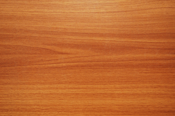 Pattern of wood - Photo, image