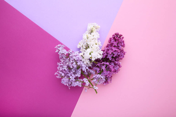 Ramo de flores de lilás no fundo colorido com texto de amostra
 - Foto, Imagem