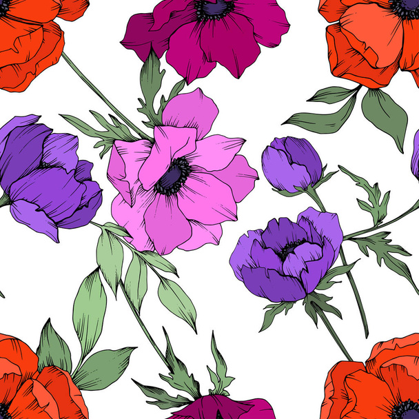 Anemone virágos botanikai virágok. Fekete-fehér vésett tinta Art. Folytonos háttérmintázat. - Vektor, kép