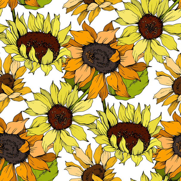 Vector Sunflower floral botanical flower. Yellow and green engraved ink art. Seamless background pattern. - Vector, imagen