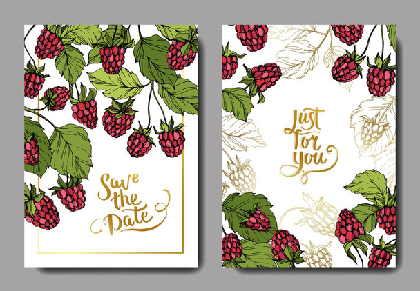 Vector Raspberry healthy food. Red and green engraved ink art. Wedding background card floral decorative border. - Vector, Image