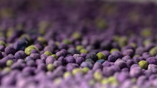 Engrais minéral violet, action prolongée avec des microéléments, pour une application sur la pelouse au printemps. Engrais professionnel
. - Photo, image