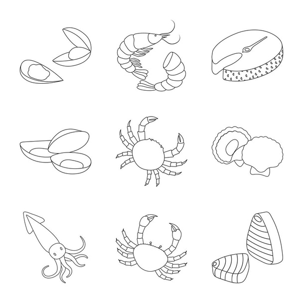 Vector illustration of food and sea icon. Set of food and healthy stock symbol for web. - ベクター画像