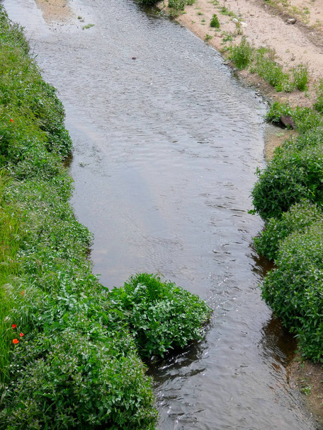 řeka se blíží k moři, se vegetací na břehu řeky - Fotografie, Obrázek