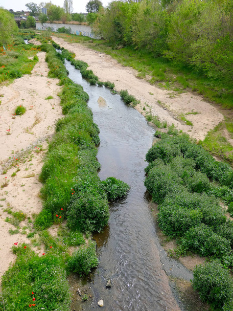 fiume che raggiunge il mare, con vegetazione sulla riva del fiume
 - Foto, immagini