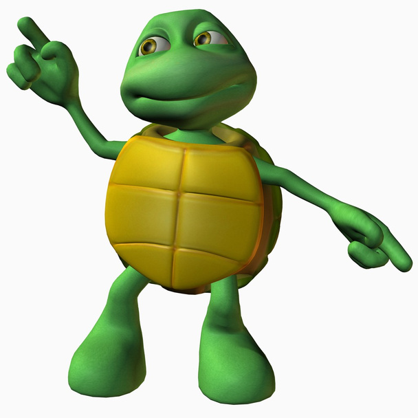 Turtle Boy - Фото, изображение