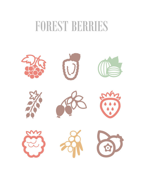 Conjunto de ícones de bagas florestais
 - Vetor, Imagem