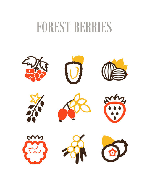 Forest berries icons set - Vector, Image