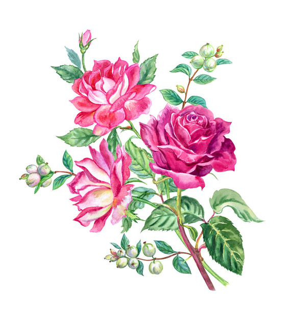 Bouquet of roses and snowberry, watercolor drawing on a white background isolated, flower painting. - Foto, afbeelding