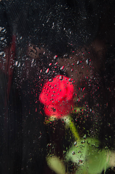 piękny czerwony kwiat z płatków pełnych kropli wody, za szklanką pełną kropli wody. - Zdjęcie, obraz