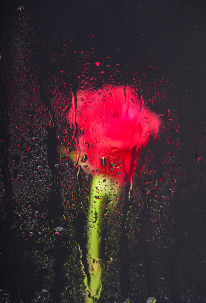 λουλούδι που παρατηρείται μέσα από ένα γυαλί, σταγόνες και αντανακλάσεις - Φωτογραφία, εικόνα