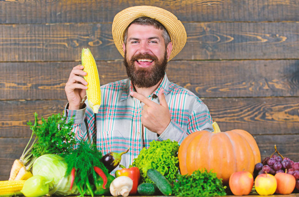 Grow organic crops. Man cheerful bearded farmer hold corncob or maize wooden background. Farmer straw hat presenting fresh vegetables. Farmer with homegrown harvest. Farmer rustic villager appearance - Foto, afbeelding