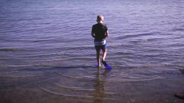 フィンを付けて水から後ろ向きに歩く方法を示す若い男の子。夏休みキャンプの例に適したビデオ. - 映像、動画
