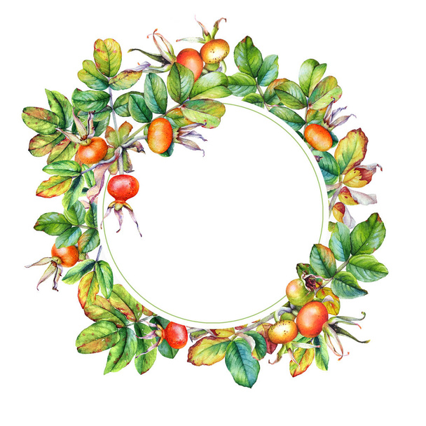 Floral frame with watercolor rosehip branches with berries on white background. - Foto, immagini