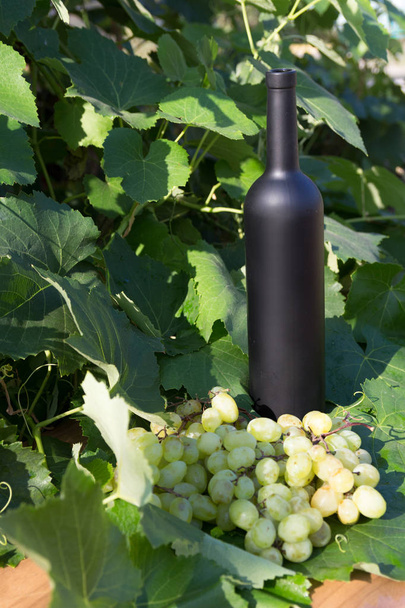 fles wijn staat tegen de groene bladeren van de wijngaard. liaan. natuurlijke drinken, privé-wijngaarden. natuurlijke drinken, privé wijngaarden druiven zijn in de buurt van staande op de weg op het platteland - Foto, afbeelding