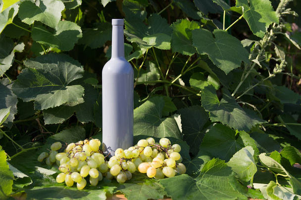 een fles wijn staat op de achtergrond van de groene bladeren van de wijngaard, in de buurt van een tros druiven. liaan. natuurlijke drankje, privé-wijngaarden - Foto, afbeelding