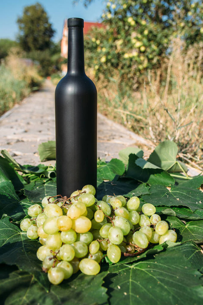 botella de vino se levanta contra las hojas verdes de la viña. vid. bebida natural, viñedos privados. bebida natural, viñedos privados uvas están cerca de pie en la carretera en el campo
 - Foto, Imagen