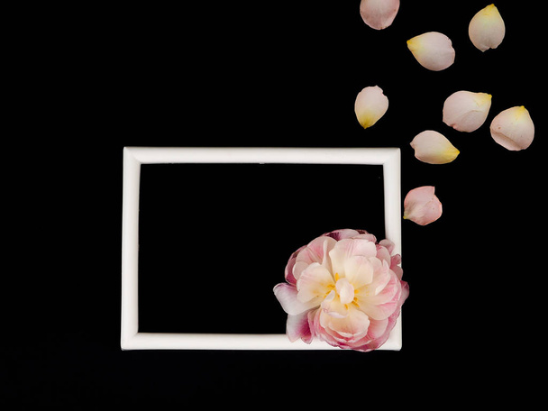 Prázdný fotografický rámeček a bílý Tulipán přes černé pozadí - Fotografie, Obrázek