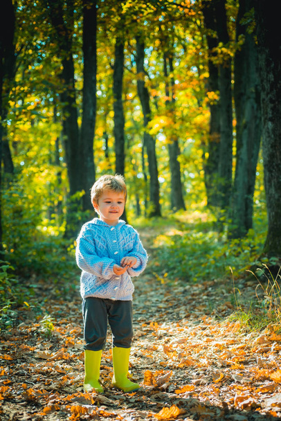 Meet fall season. Forest school is outdoor education delivery model in which students visit natural spaces. Boy in rubber boots walking in forest. Cute tourist concept. Child walking in autumn forest - Fotó, kép