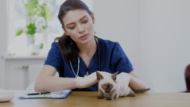 Eläinlääkäri ja siamilainen kissa eläinlääkäriklinikalla
 - Materiaali, video