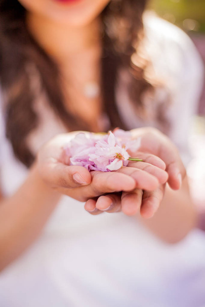 Close-up. Female hands hold petals of pink flowers. A young beautiful Asian woman in a white dress walks in a flowered park. - Φωτογραφία, εικόνα
