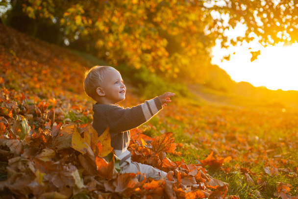 Ciepłe chwile jesieni. Maluch chłopiec niebieskie oczy cieszyć jesienią. Mały maluch w słoneczny jesienny dzień. Ciepło i przytulnie. Szczęśliwego dzieciństwa. Słodkie wspomnienia z dzieciństwa. Jesienne liście dziecka tło - Zdjęcie, obraz