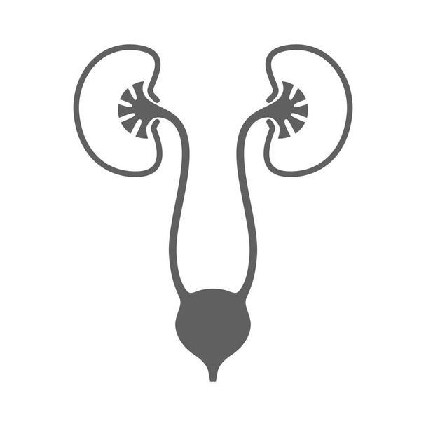 Urology sign - Vector, Image