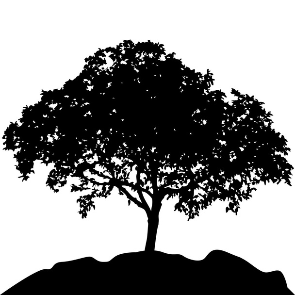 Tree at hill silhouette vector - Vector, Image