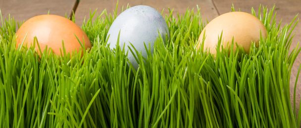 tatil için doğal olarak boyalı Paskalya yumurtaları - Fotoğraf, Görsel