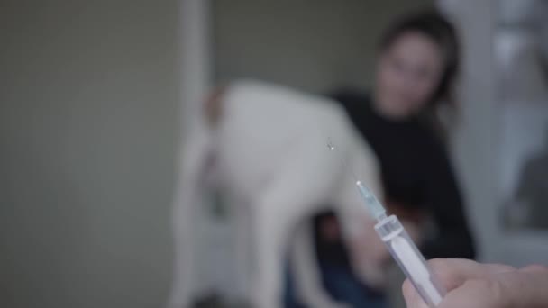 Doctors hands prepare a syringe for injection on the foreground. The blurred figure of woman petting her big dog standing on the table on the background. Pet health care and medical concept - Video, Çekim